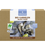 Black Tiger Garnelen, roh, ohne Kopf, 160 gr Schachtel, Tiefkühlware, followfood