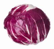 Radicchio Salat, verschiedene Sorten