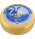 Gouda Jung, deutscher Schnittkäse, laktosefrei, mind. 50% Fett i. Tr. (16,90/kg)