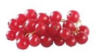 Johannisbeeren rot, 250 gr Schale, (4,49/Schale)