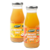 Ingwer-Shot, vegan, 0,2 ltr Flasche, dennree