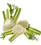 Fenchel