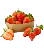 Erdbeeren, 300 gr Schale, aus Spanien/Italien, (4,29/Schale)
