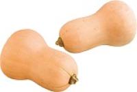 Kürbis "Butternut", (1,99/kg)
