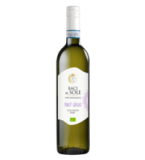 Wein „Baci al Sole” Pinot Grigio delle Venezie DOC, weiß, vegan, 0,75 ltr Flasche