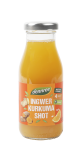 Ingwer-Kurkuma-Shot, vegan, 0,2 ltr Flasche, dennree