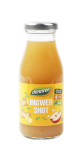 Ingwer-Shot, vegan, 0,2 ltr Flasche, dennree