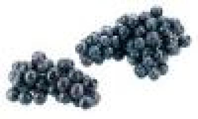Trauben blau "Black Magic", (6,99/kg)