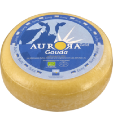 Gouda Jung, deutscher Schnittkäse, laktosefrei, mind. 50% Fett i. Tr. (16,90/kg)