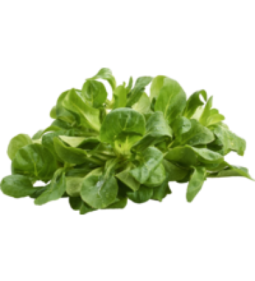 Feldsalat , ca.125 gr Beutel