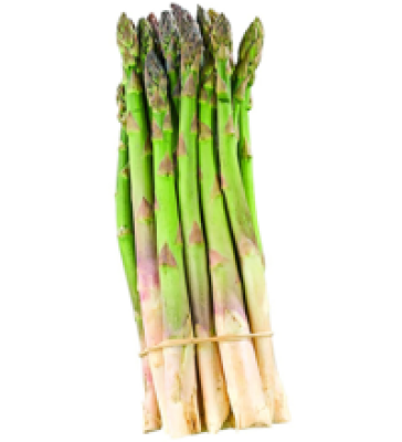 Spargel, grün, 500 gr Bund, aus Deutschland, (6,00/Bund)