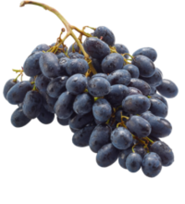 Trauben blau, (3,49/kg)