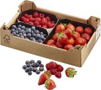 Beeren-Mischkiste (Erdbeeren, Heidelbeeren, Himbeeren), 500 gr Kiste, (6,99/Kiste)