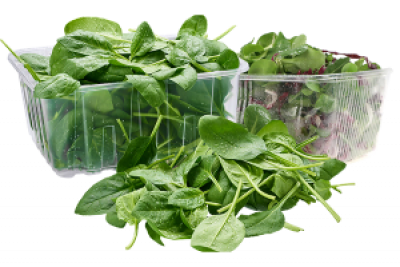Salatmix, (Feldsalat, Rucola, Radicchio), ca.125 g Schale, (1,79/Beutel)