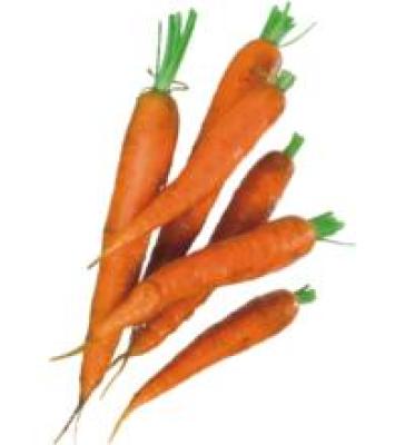 Frühkarotten, (1,50/kg)