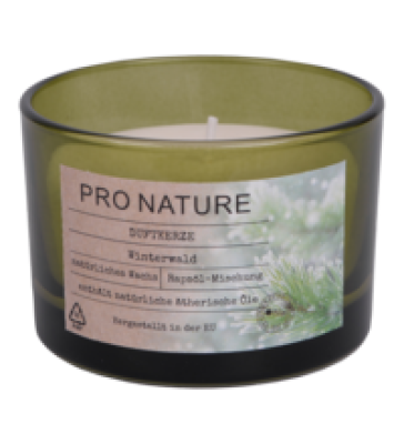 Duftkerze Winterwald, 1 Stück, Müller Kerzen