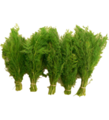 Dill, Bund, (1,99/Bund)
