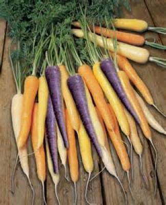 Möhren bunt, lose, (2,79/kg)