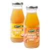 Ingwer-Kurkuma-Shot, vegan, 0,2 ltr Flasche, dennree