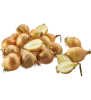 Zwiebeln gelb