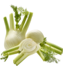 Fenchel, (3,99/kg)