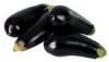 Aubergine, (4,99/kg)